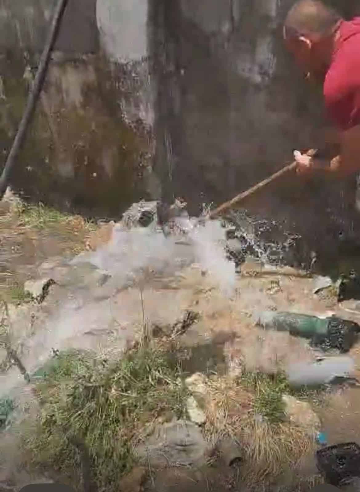 {title}