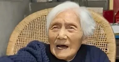 {title}