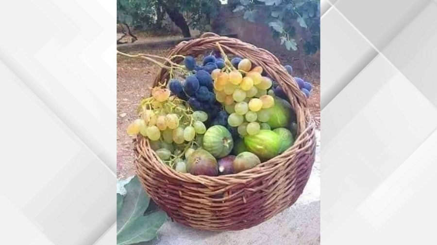 {title}