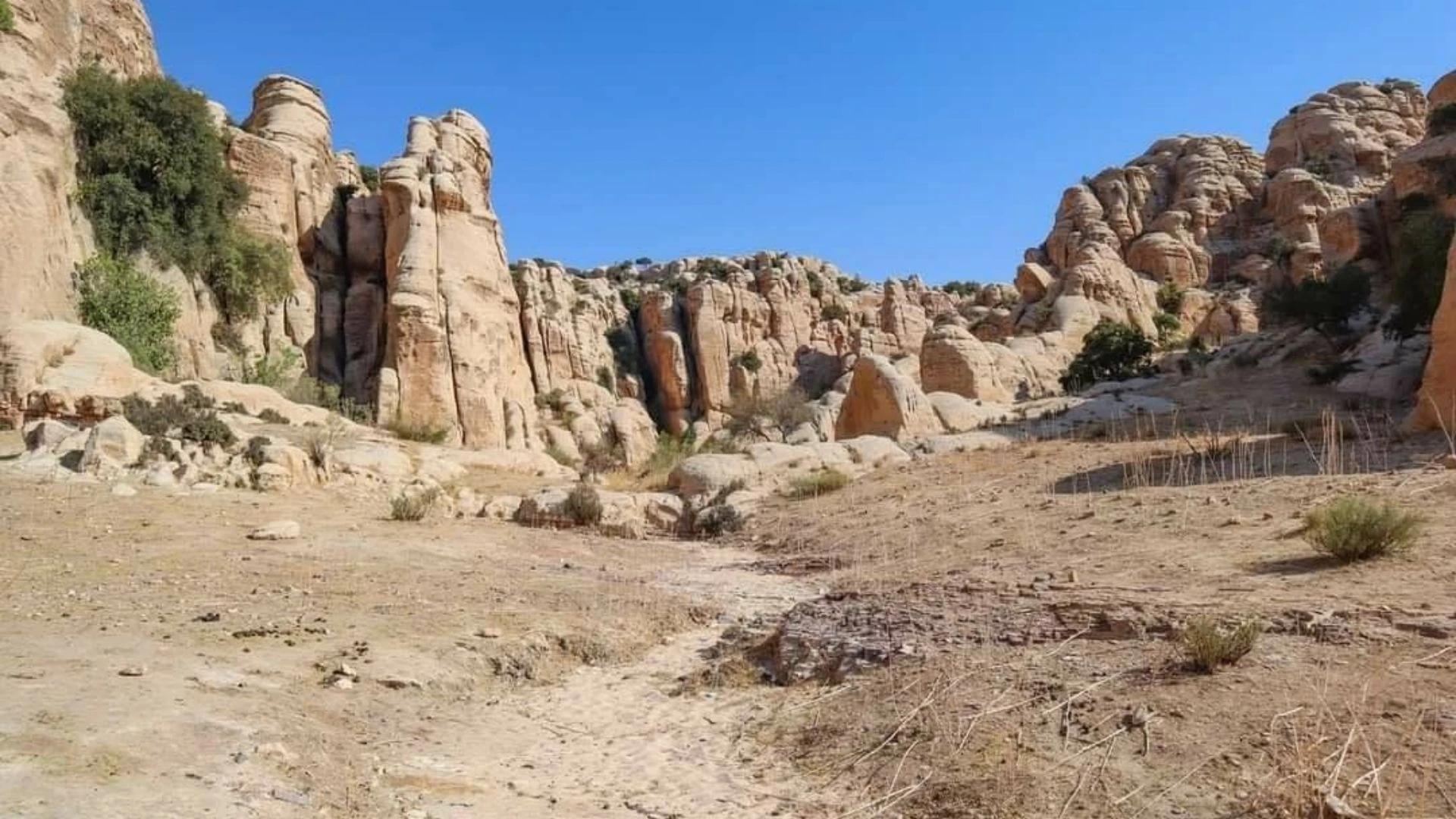 النواطف في ضانا.. طبيعة آسرة وشواهد تاريخية تستحق التوثيق