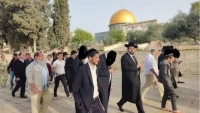 458 مستوطنا متطرفا يقتحمون المسجد الأقصى
