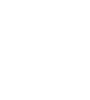 22 الاعلامي